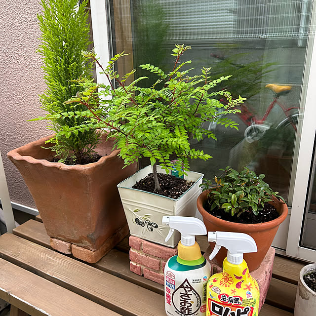 haruさんの実例写真