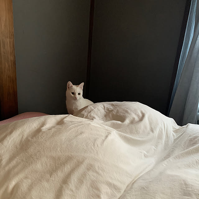 keiさんの実例写真