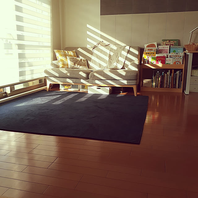 Ritsuさんの実例写真