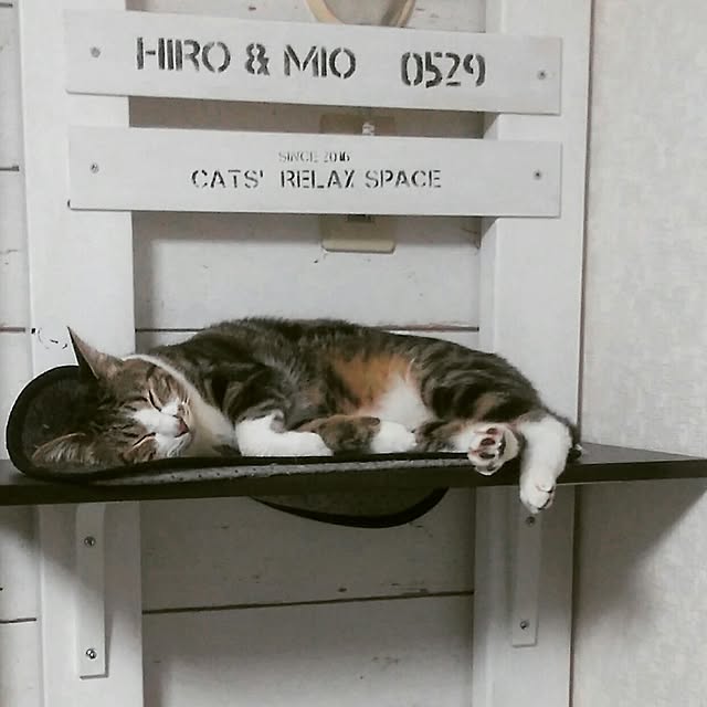 yuuさんの実例写真