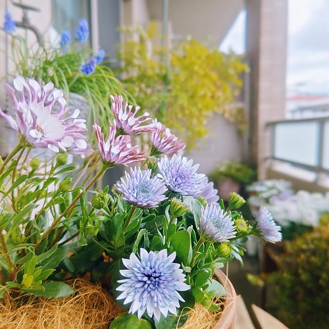 YuriYuriさんの部屋