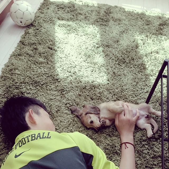 yukinkoさんの実例写真