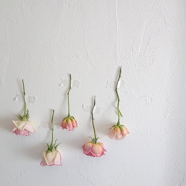 Mi-koさんの実例写真