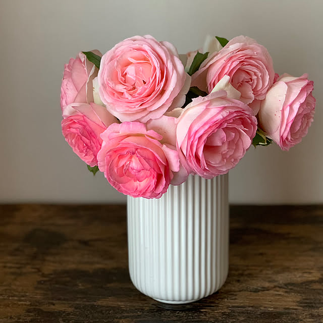 yomogiさんの実例写真