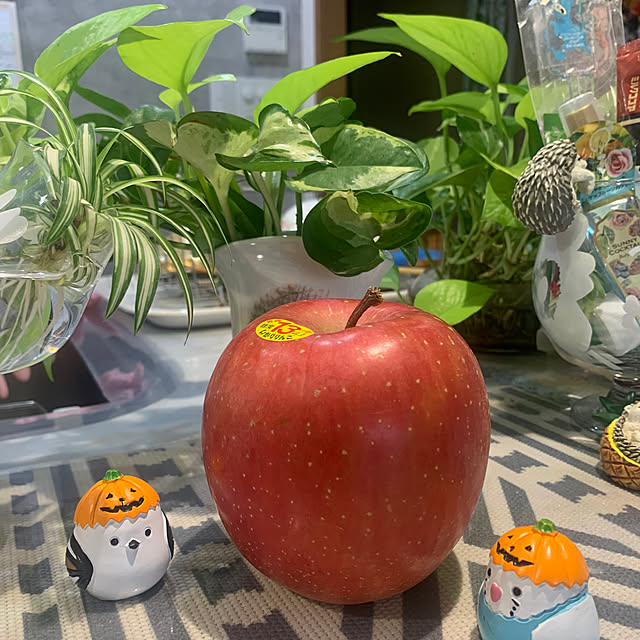 Aqettyさんの部屋