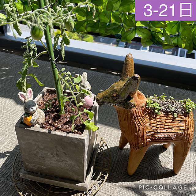 aureaさんの実例写真