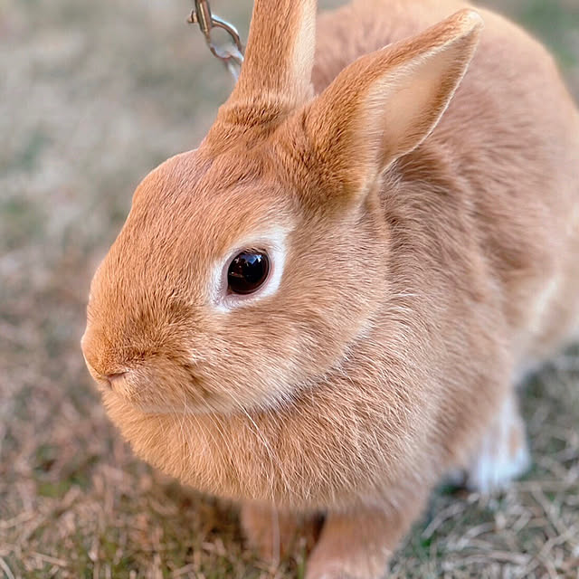 mi-hayaさんの実例写真