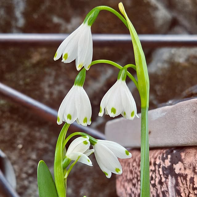 mocomocoさんの部屋