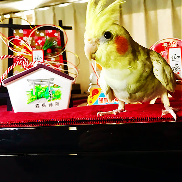 bitzchaさんの実例写真
