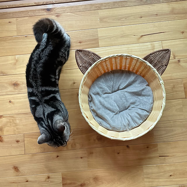 yumiさんの実例写真