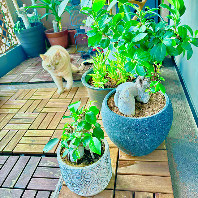 naokoさんの部屋