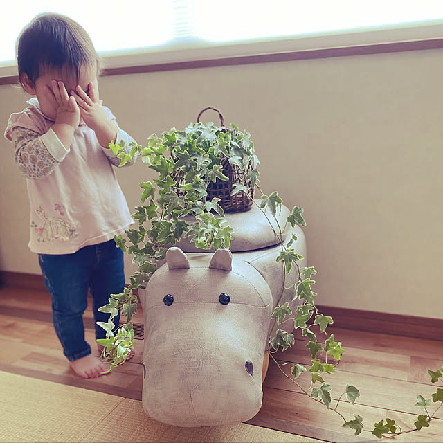 moainanoさんの実例写真