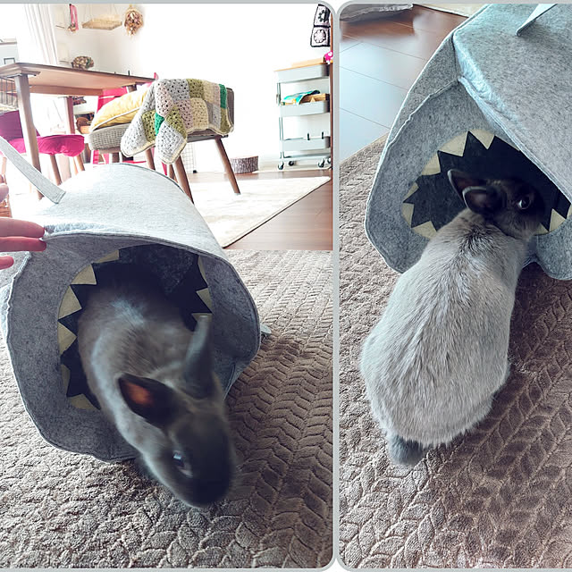 kirariさんの実例写真
