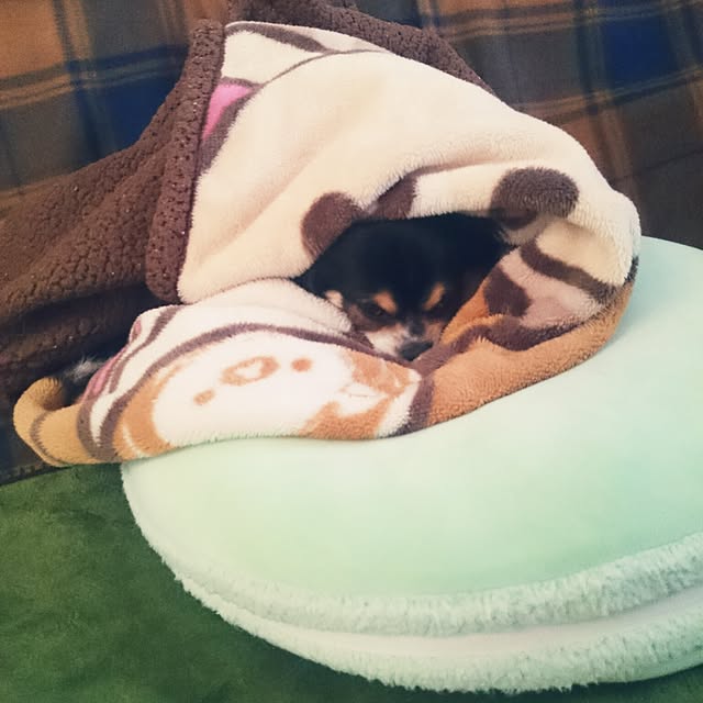 rinmarorinさんの実例写真
