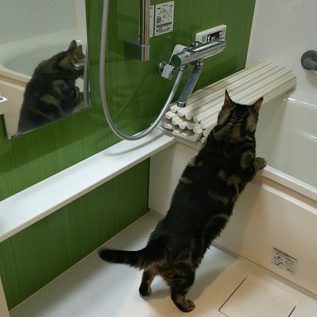 sorakoさんの実例写真