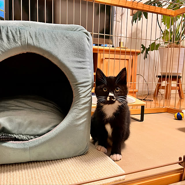 ochoriさんの実例写真