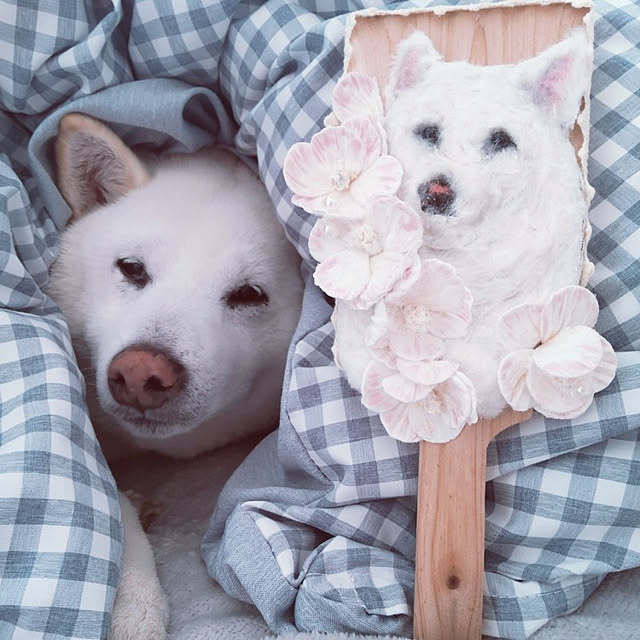 yukinkoさんの実例写真