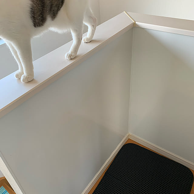 kickoさんの実例写真