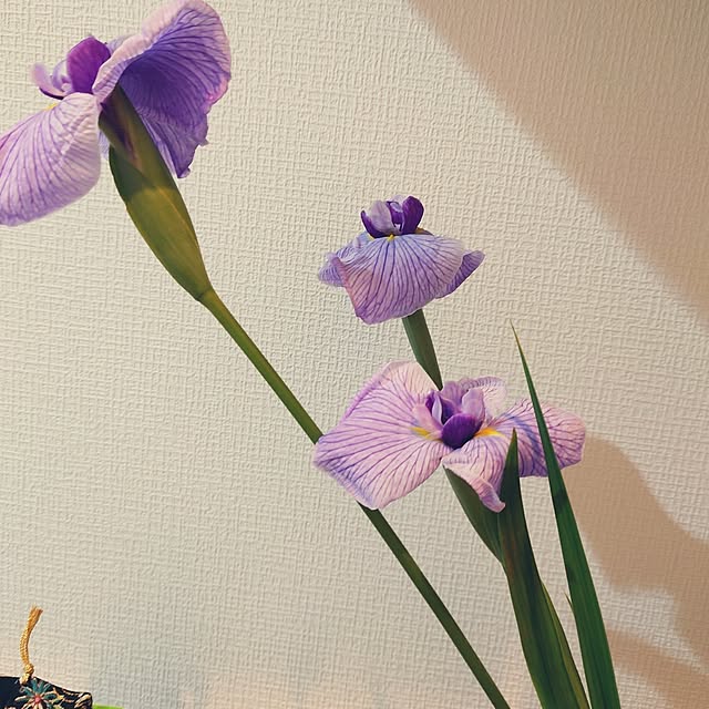 kiyoさんの部屋