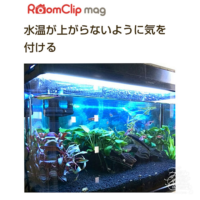 Renさんの実例写真