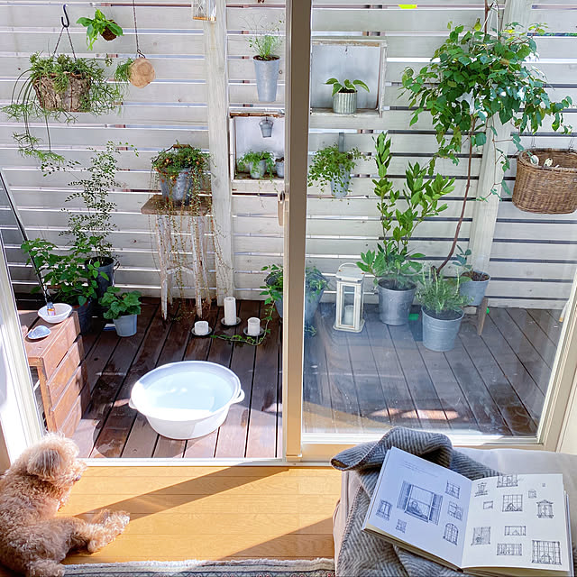 asamiさんの実例写真