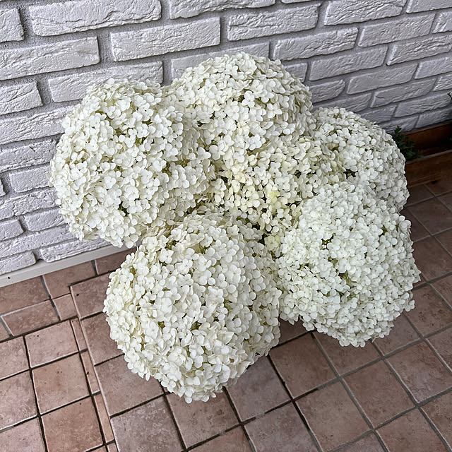 starsloveさんの部屋