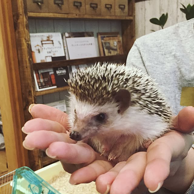 yu_kiさんの実例写真