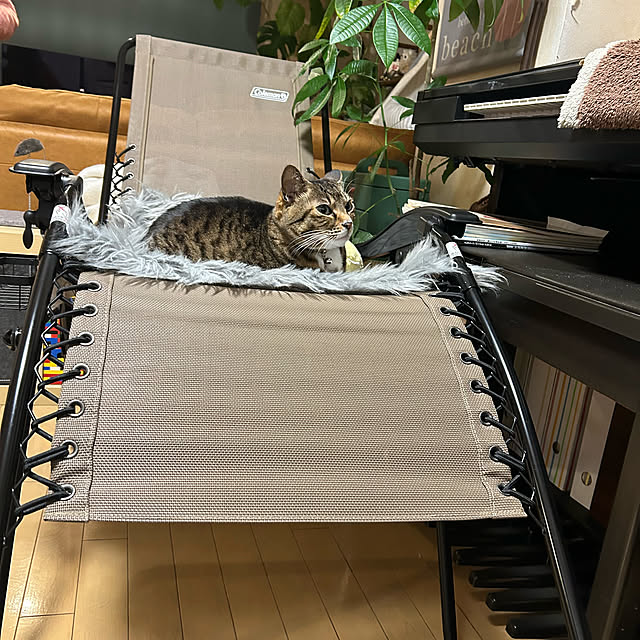 suemonta14さんの部屋