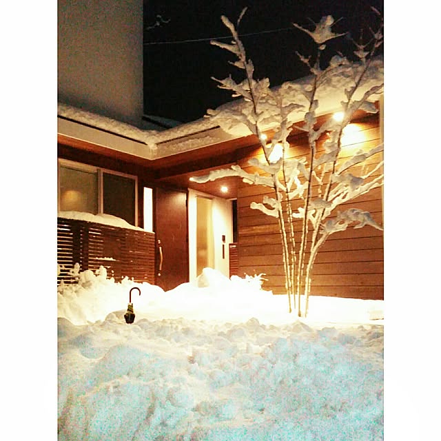 chieさんの実例写真