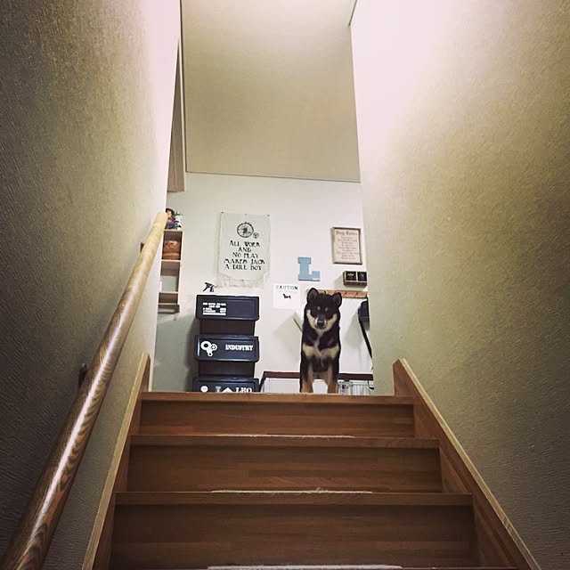 ankoさんの実例写真