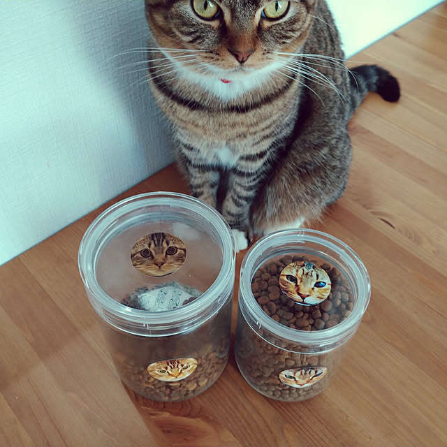 mochicoさんの実例写真