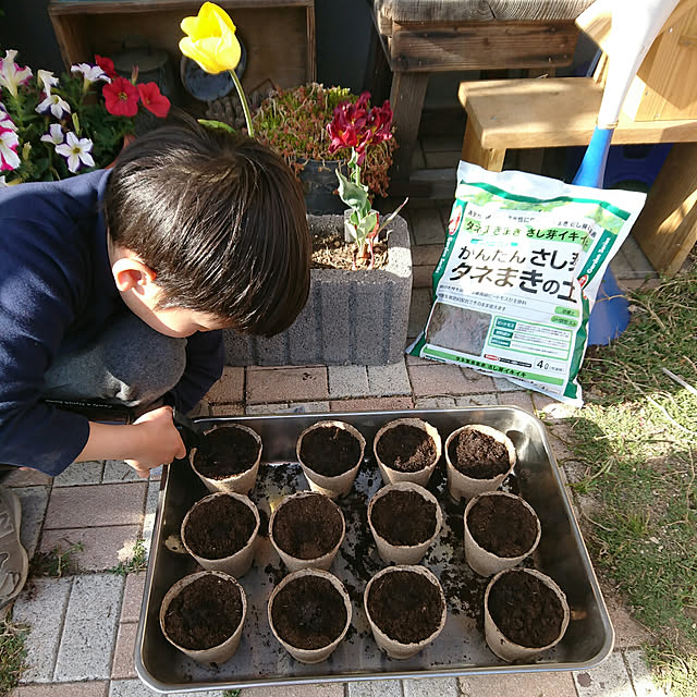 akooさんの実例写真