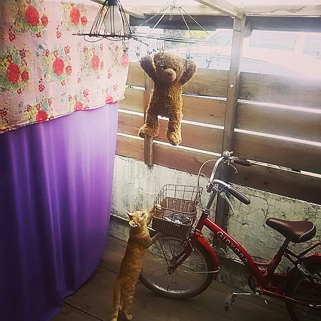 kayomiさんの実例写真