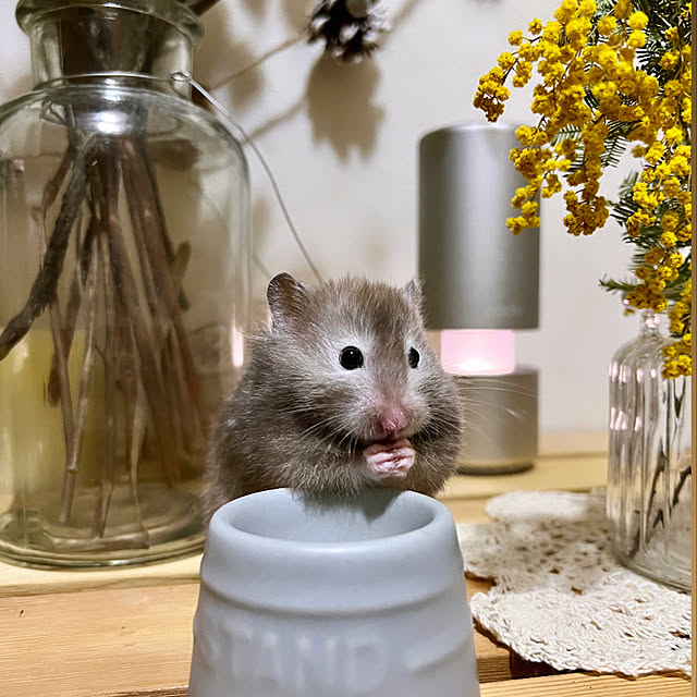 emiさんの実例写真