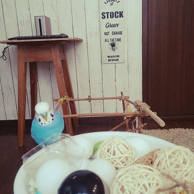 opiopiopiさんの実例写真