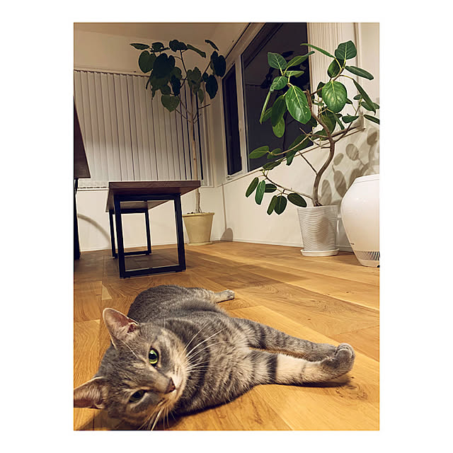 cocokuro0124さんの実例写真