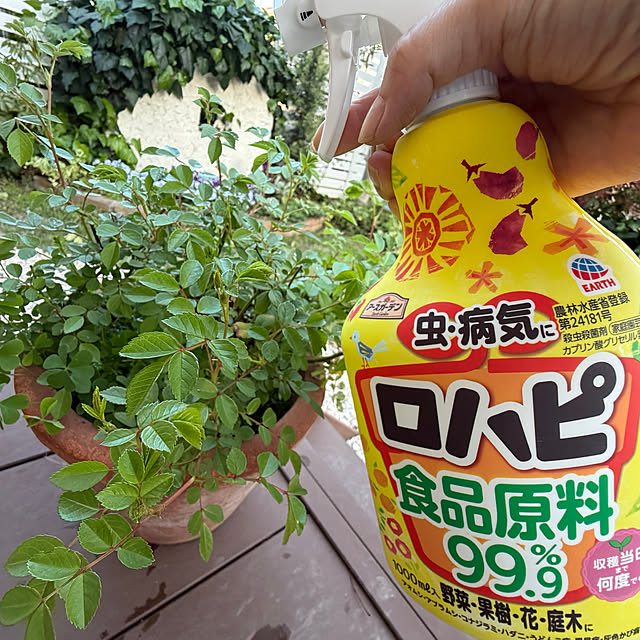 meruさんの実例写真