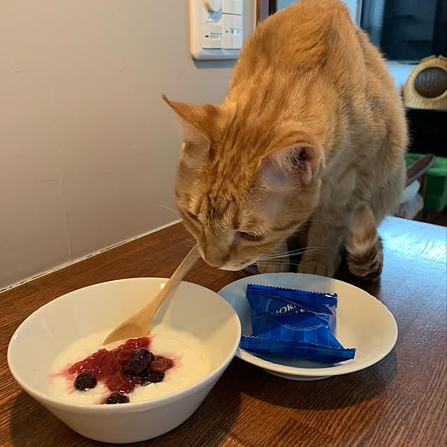 mikeume7さんの実例写真