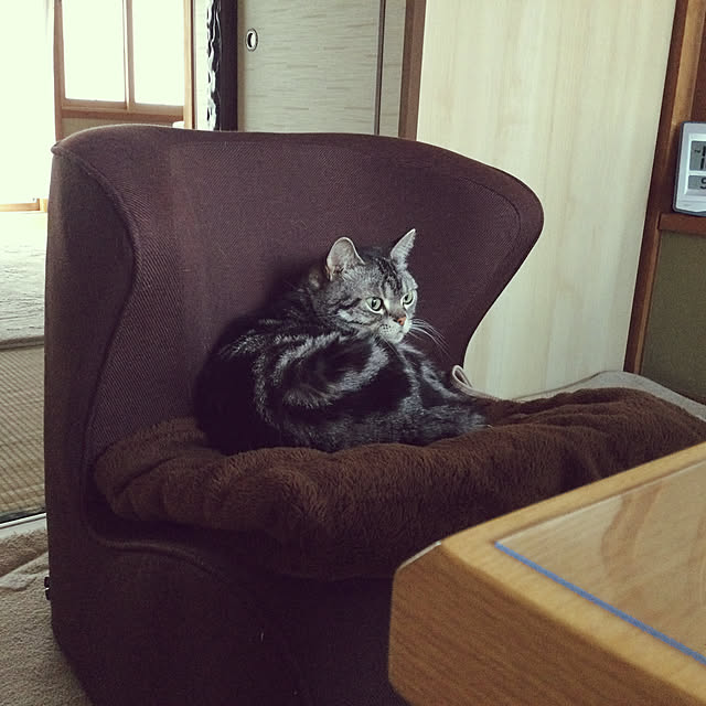 richanさんの実例写真