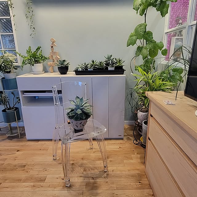 nonbiri_house_さんの実例写真