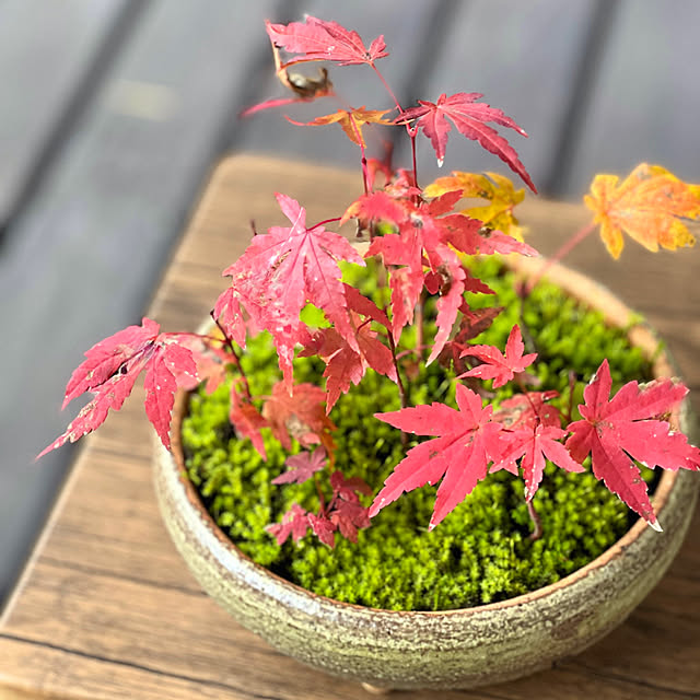 Kikko.さんの部屋