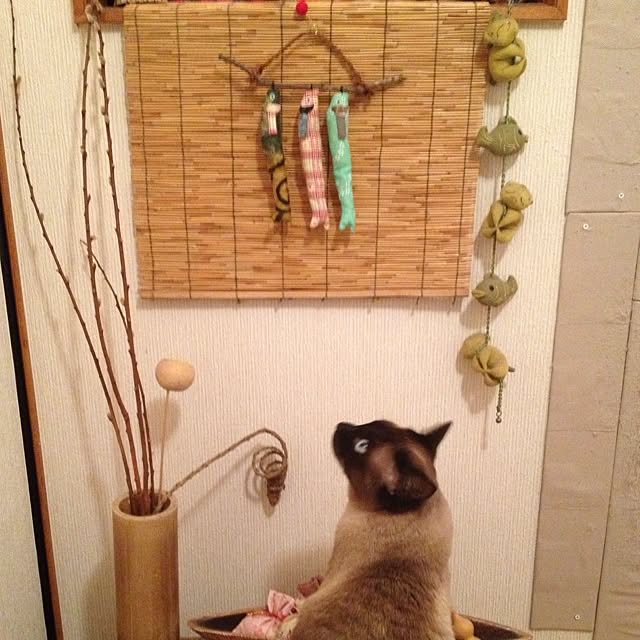 salyuさんの実例写真