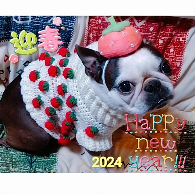 maiさんの部屋