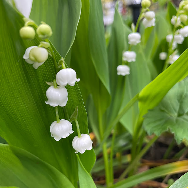natsumiさんの部屋