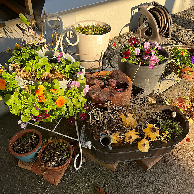 Moeさんの実例写真