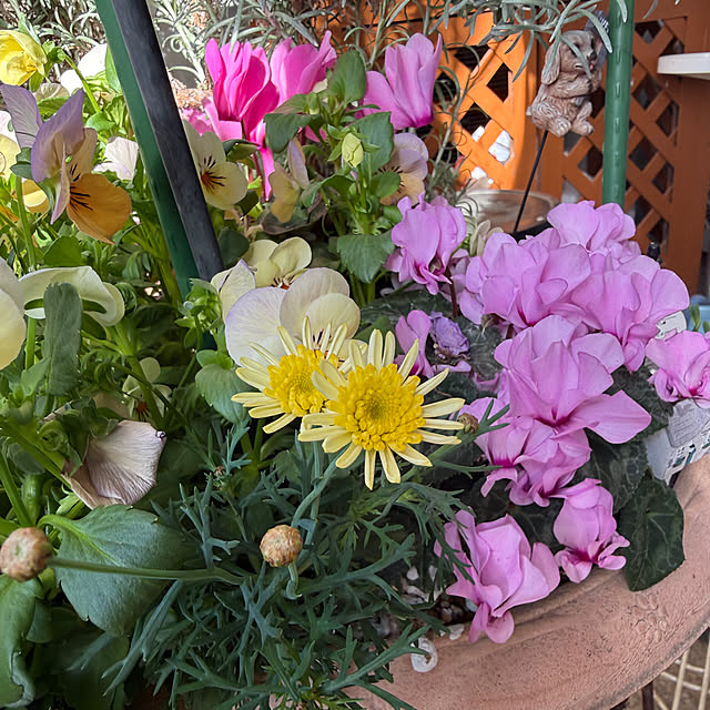 Aqettyさんの部屋