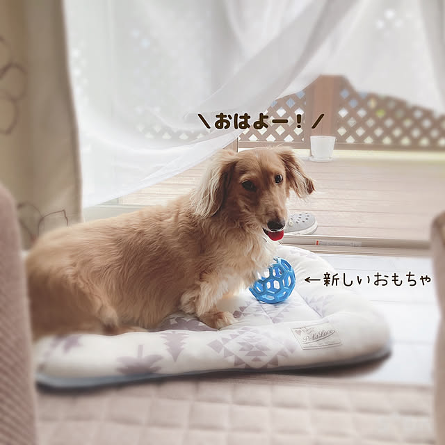 -Riley-mama.-さんの実例写真