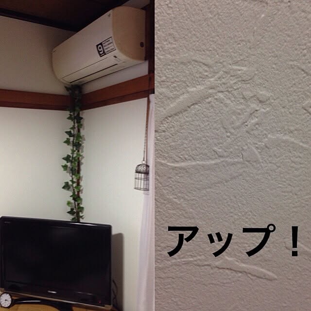 mikyuさんの実例写真