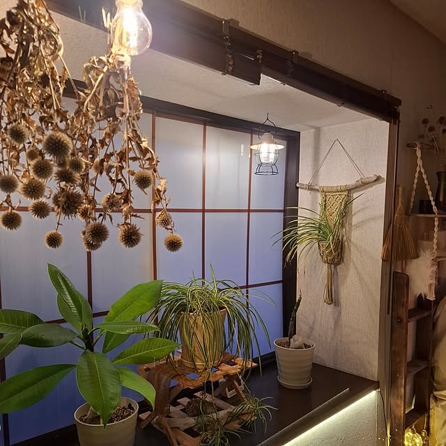 midoriさんの部屋