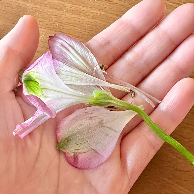 n_k6369さんの実例写真